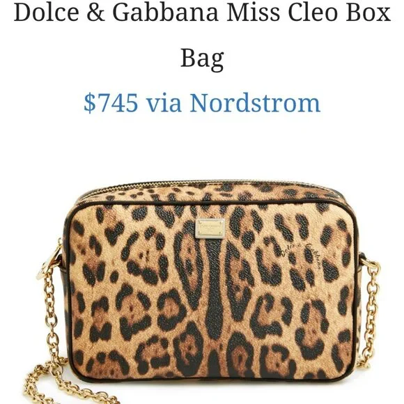 Dolce & Gabbana Camera Bag "EUC" - Picture 16 of 16